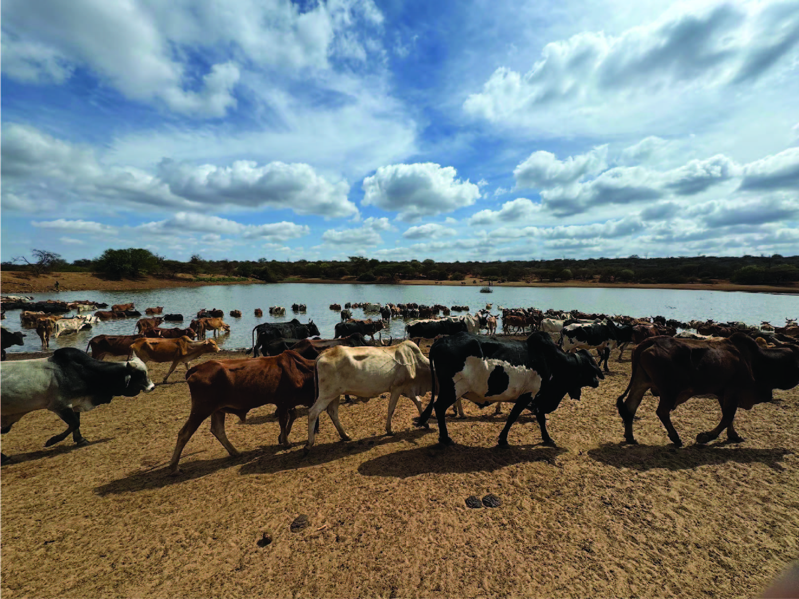Map of Tanzania showing our work areas