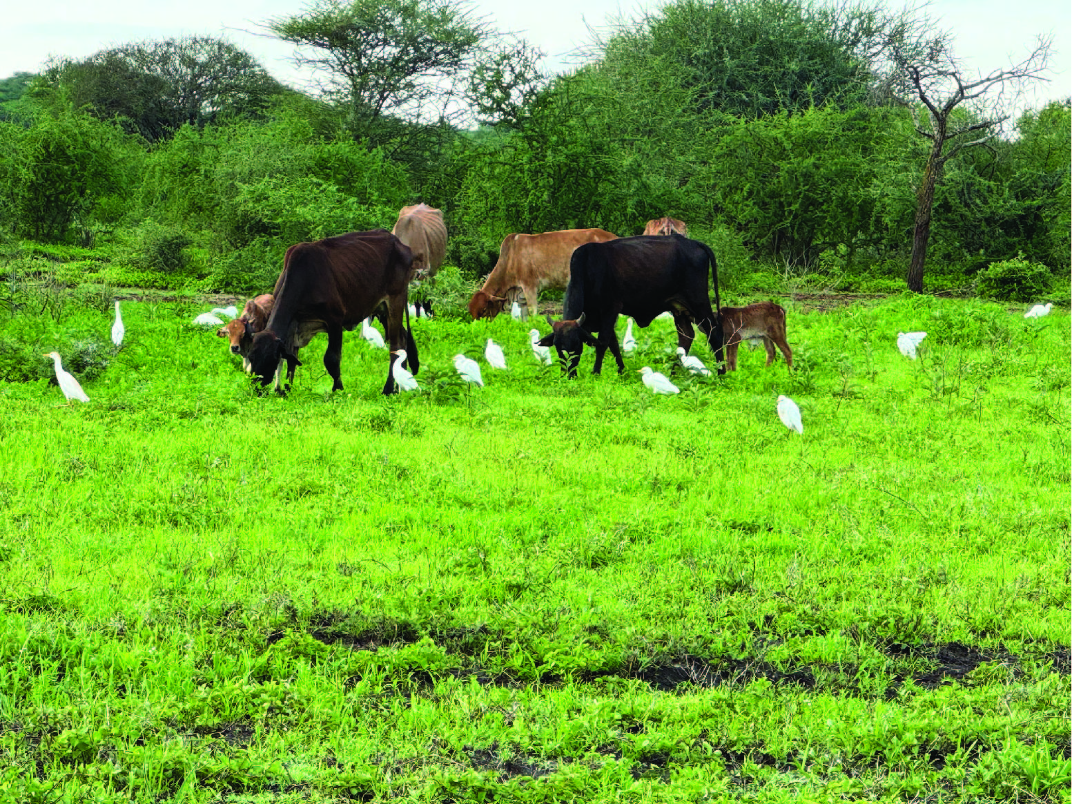 Community members working together