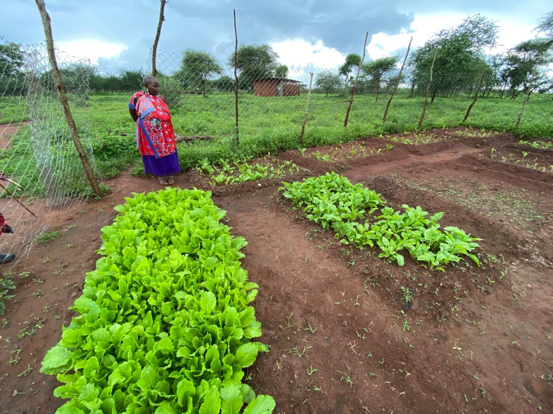 Oreteti Initiative community work